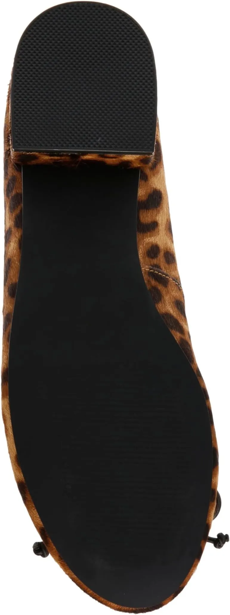 Cherish Steve Madden shoes, leopard