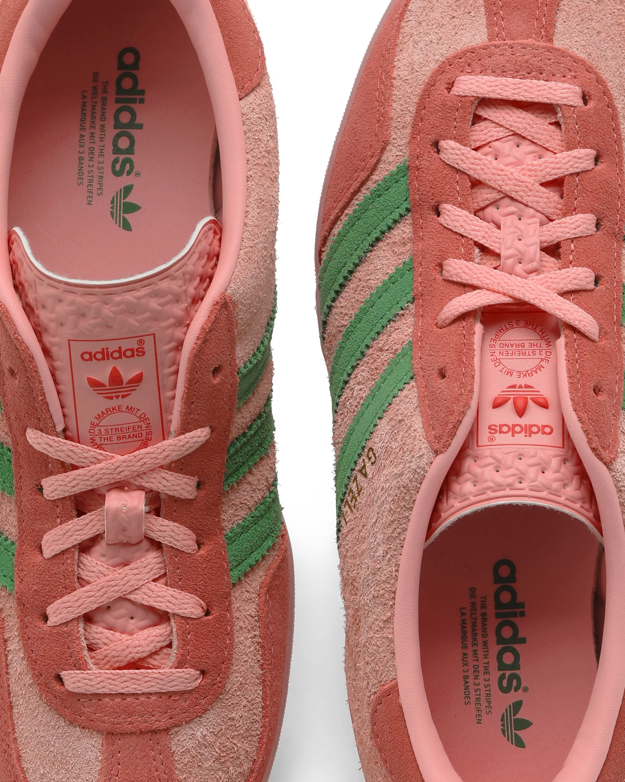 GAZELLE INDOOR W